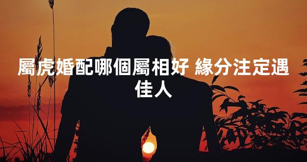 屬虎婚配哪個屬相好 緣分注定遇佳人